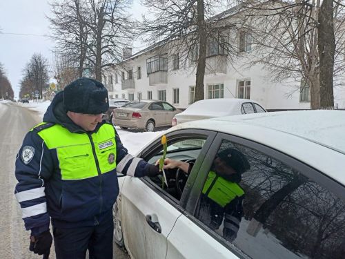 Сотрудники ГИБДД поздравили заинских автоледи