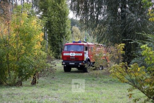 Жителям Татарстана запретили посещать леса