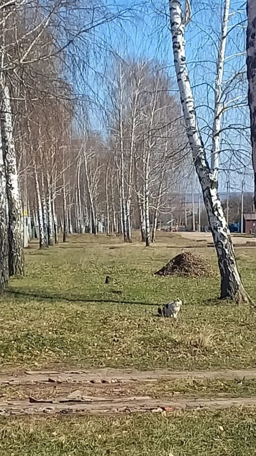 Жители микрорайона навели чистоту на улицах