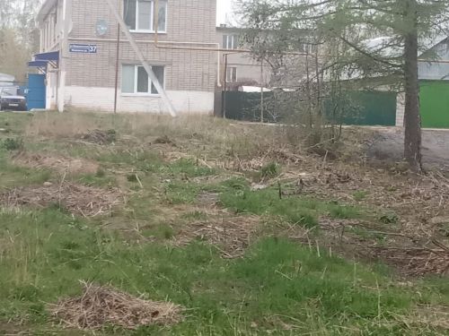 Жители микрорайона навели чистоту на улицах
