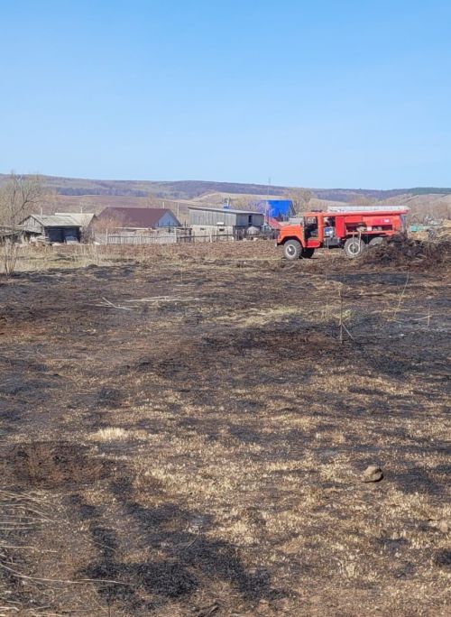 В Заинском районе РТ выявлено пять случаев горения травы