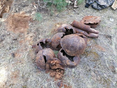 За 4 дня заинские поисковики нашли 14 бойцов, погибших под Сталинградом