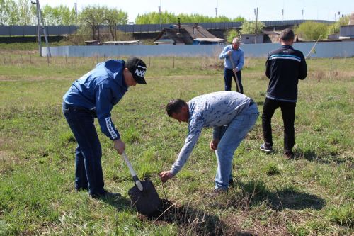 Сто рябин украсили «Сад памяти» в Заинске