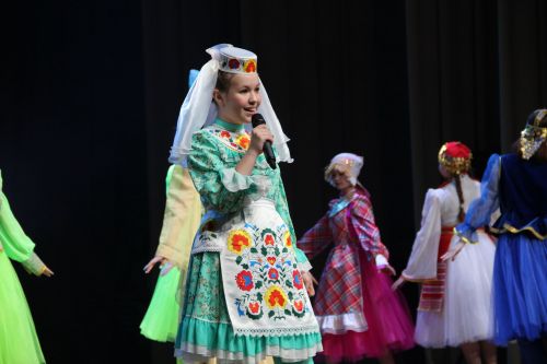 Девять семей из районов Татарстана представили свои родословные в Заинске
