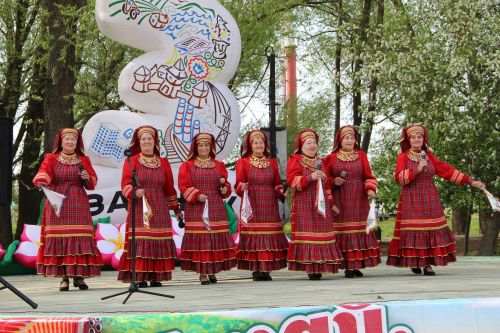 Гармонисты Заинского района собрались на фестивале «Играй, гармонь!»