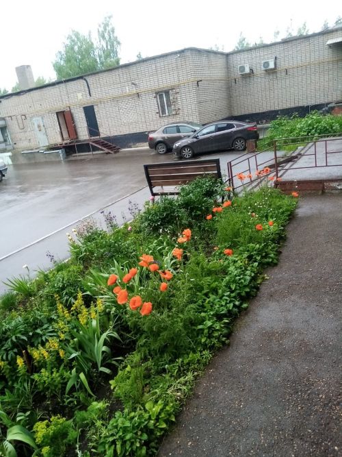 Жительница Заинска 20 лет растит цветы возле подъезда многоквартирного дома