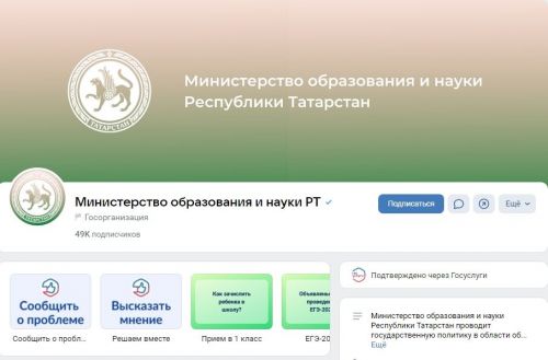 Образовательные учреждения стали лидерами по созданию госпабликов в ВК в Татарстане