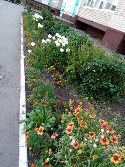 Жительница Заинска 20 лет растит цветы возле подъезда многоквартирного дома