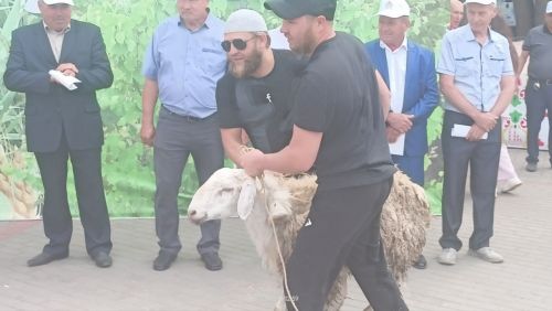 В Заинском районе на празднике плуга объявили батыра сева