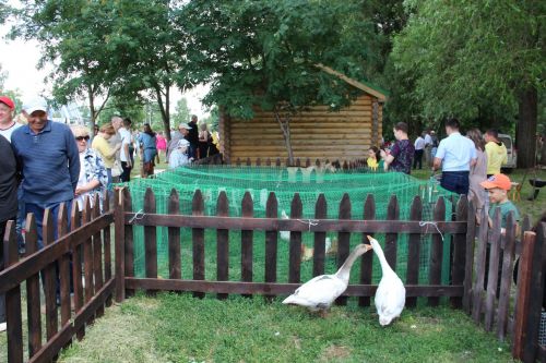 Самые лучшие моменты Сабантуя в Заинском районе
