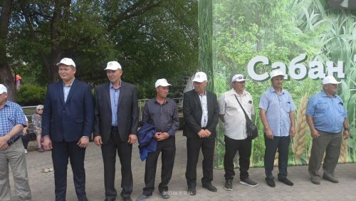 Заинцам вручили правительственные награды