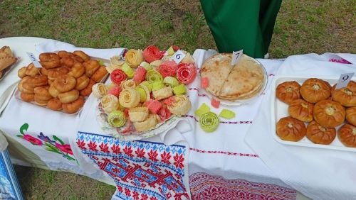 В Заинске выбрали главную красавицу Сабантуя