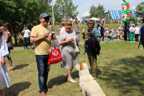 Самые лучшие моменты Сабантуя в Заинском районе