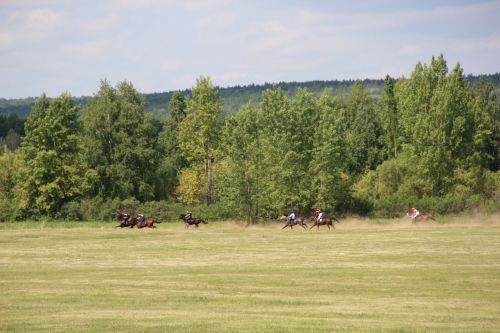 Самые лучшие моменты Сабантуя в Заинском районе