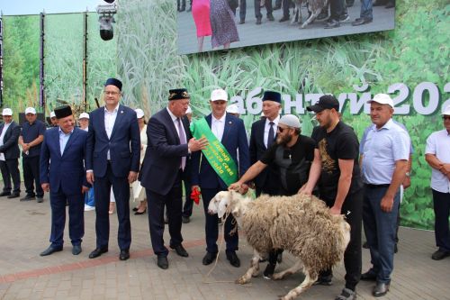 Самые лучшие моменты Сабантуя в Заинском районе