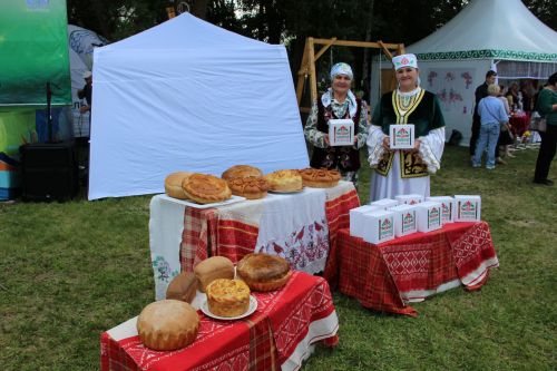 Самые лучшие моменты Сабантуя в Заинском районе
