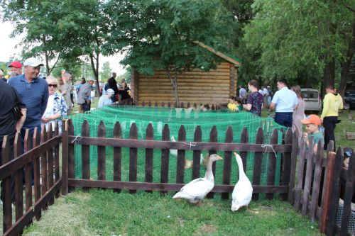 Самые лучшие моменты Сабантуя в Заинском районе