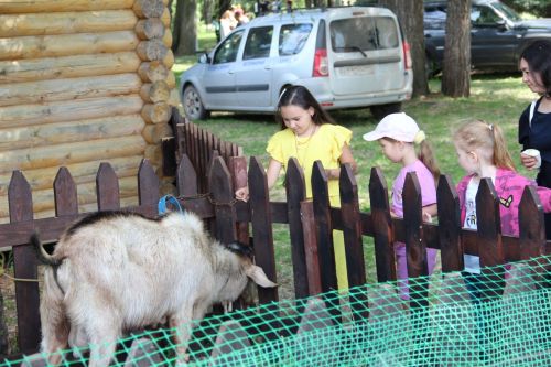 Самые лучшие моменты Сабантуя в Заинском районе