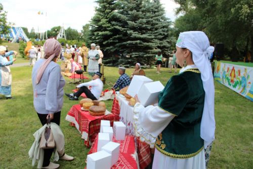 Самые лучшие моменты Сабантуя в Заинском районе