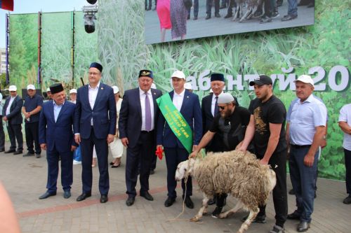 Самые лучшие моменты Сабантуя в Заинском районе