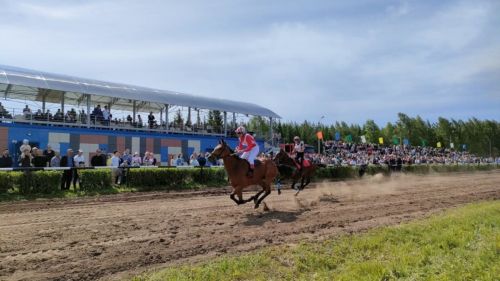 В Заинске состоятся конные скачки