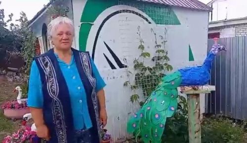 Павлин, журавли и лебеди: жительница Заинского района украсила двор яркими скульптурами