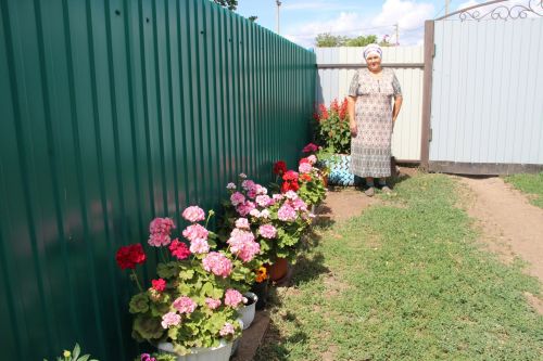 Жительница Заинского района превратила свой дом в цветочную галерею