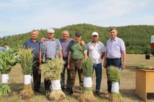В Заинске механизаторы и сельхозтехника готовы к уборочной страде