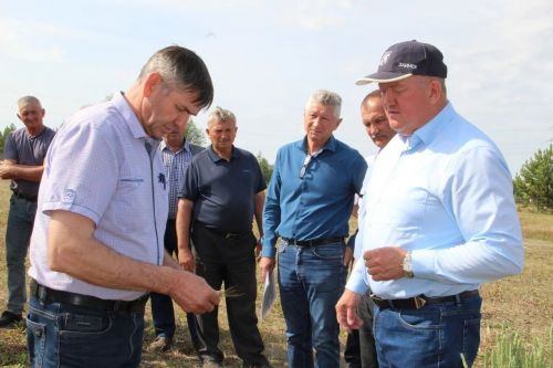 В Заинске механизаторы и сельхозтехника готовы к уборочной страде