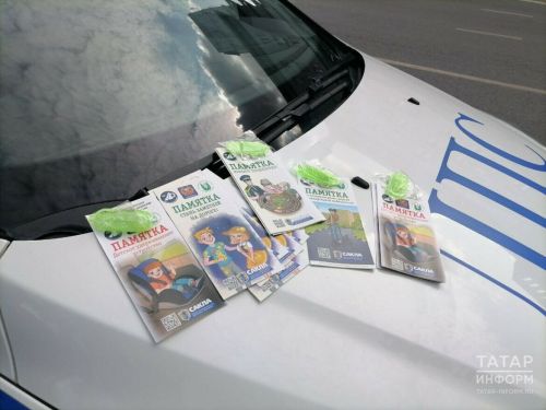 Автоинспекторы Татарстана в День знаний проведут уроки для школьников