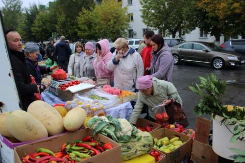 В Заинске стартовали осенние сельскохозяйственные ярмарки
