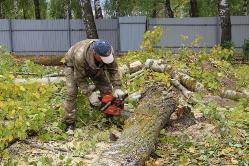 Зәйдә Изге Макарий чиркәвенә фундамент салу эше башланачак