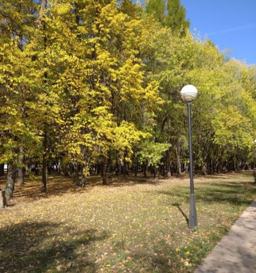 В выходные дни в Татарстане ожидается аномальная жара