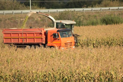 Зәйдә аграрийлар кукурузны силоска сала