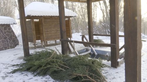 Православные христиане готовятся отметить Крещение Господне