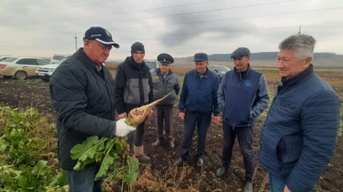В Заинском районе прошел очередной объезд сельхозформирований