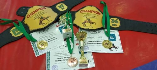 Новые громкие победы заинских спортсменов по вольной борьбе