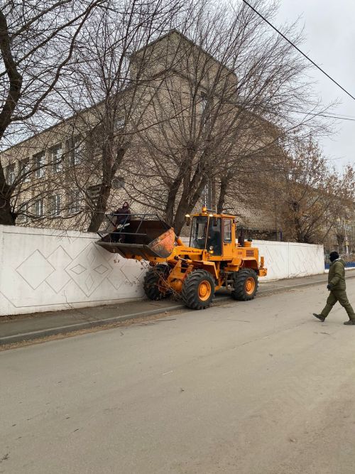 Городские деревья готовятся к зиме: осенняя обрезка для здоровья и безопасности