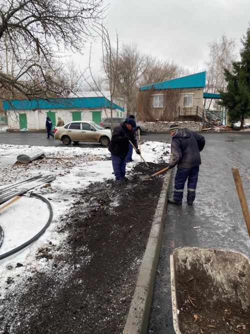 Городские деревья готовятся к зиме: осенняя обрезка для здоровья и безопасности