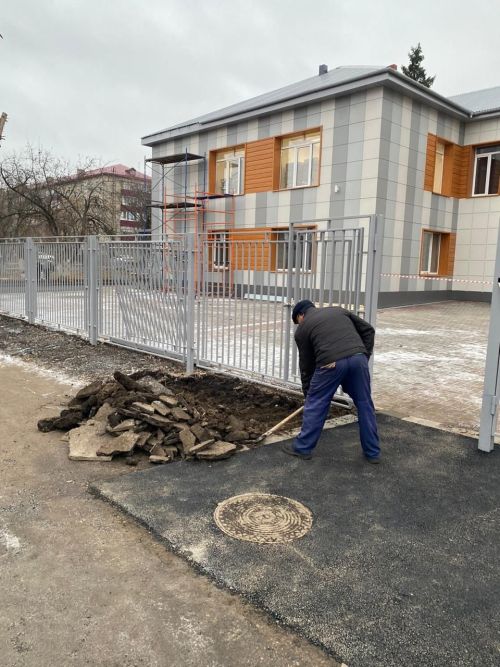 Городские деревья готовятся к зиме: осенняя обрезка для здоровья и безопасности
