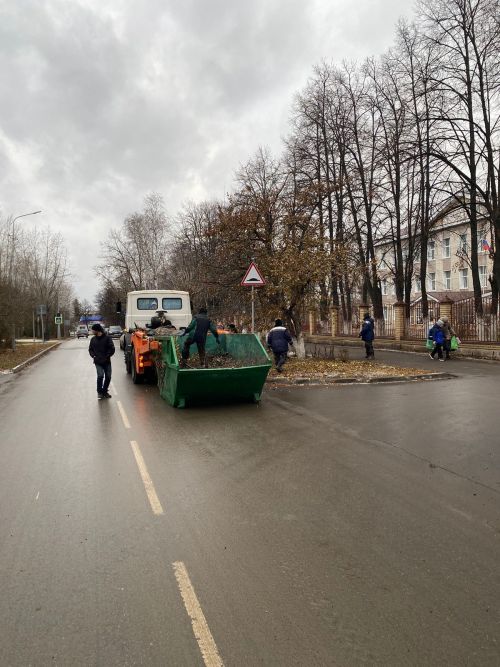 Городские деревья готовятся к зиме: осенняя обрезка для здоровья и безопасности