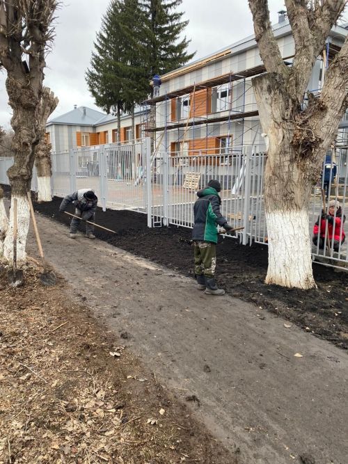 Городские деревья готовятся к зиме: осенняя обрезка для здоровья и безопасности