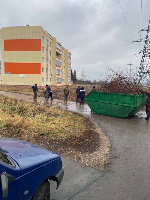 Городские деревья готовятся к зиме: осенняя обрезка для здоровья и безопасности