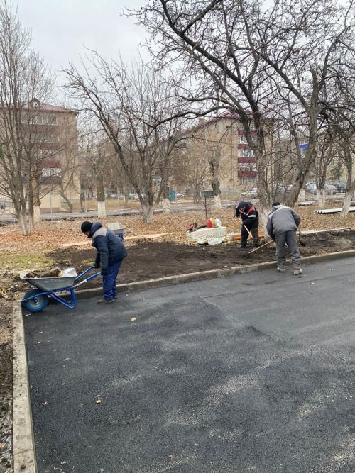 Городские деревья готовятся к зиме: осенняя обрезка для здоровья и безопасности