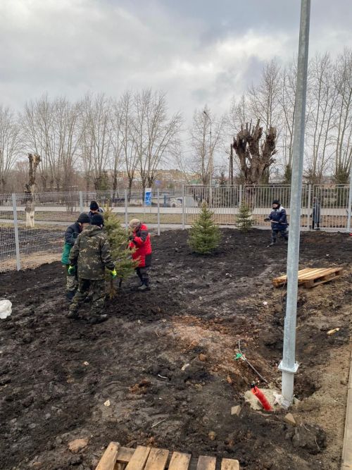 Городские деревья готовятся к зиме: осенняя обрезка для здоровья и безопасности