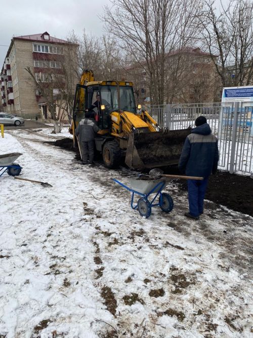 Городские деревья готовятся к зиме: осенняя обрезка для здоровья и безопасности