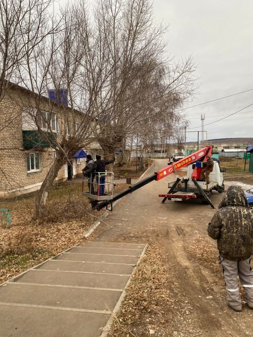 Городские деревья готовятся к зиме: осенняя обрезка для здоровья и безопасности