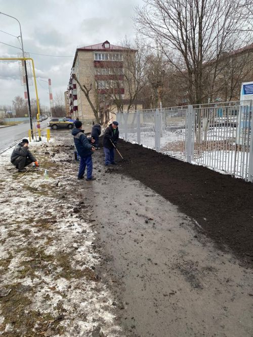Городские деревья готовятся к зиме: осенняя обрезка для здоровья и безопасности