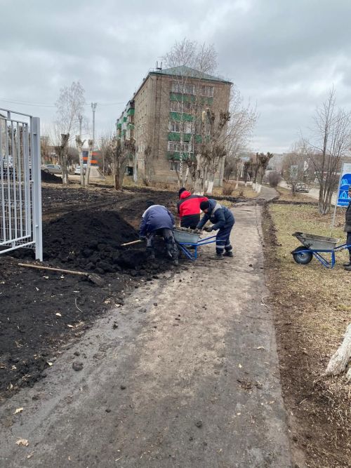 Городские деревья готовятся к зиме: осенняя обрезка для здоровья и безопасности