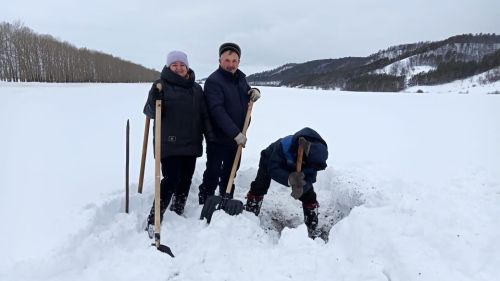 Белгечләр көзге культураларның ничек кышлавын тикшерәләр